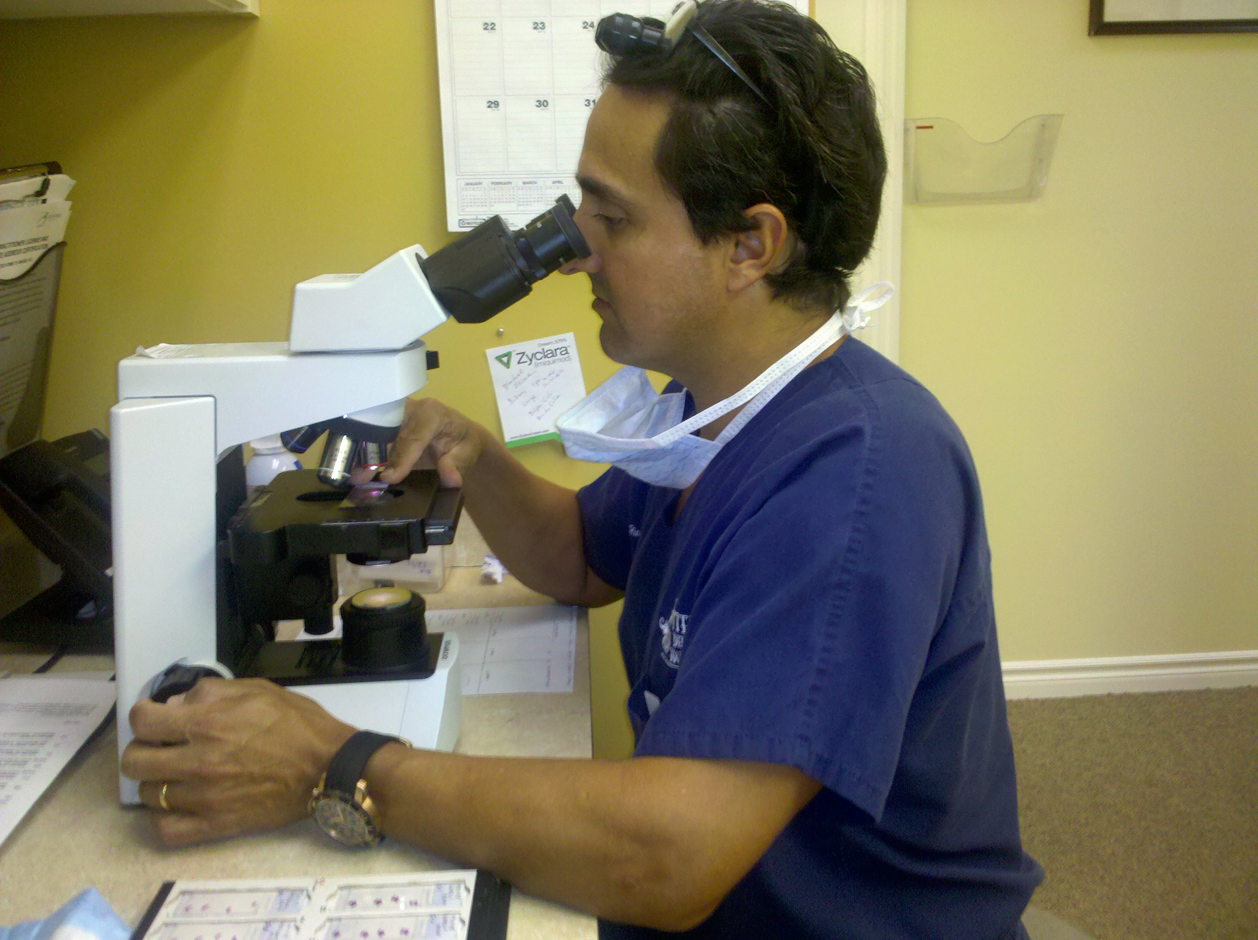 Dr Mejia Views Skin Cancer Slides Skin-Cancer- Slides
